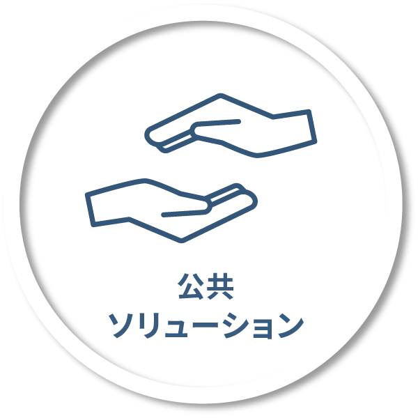 公共ソリューション