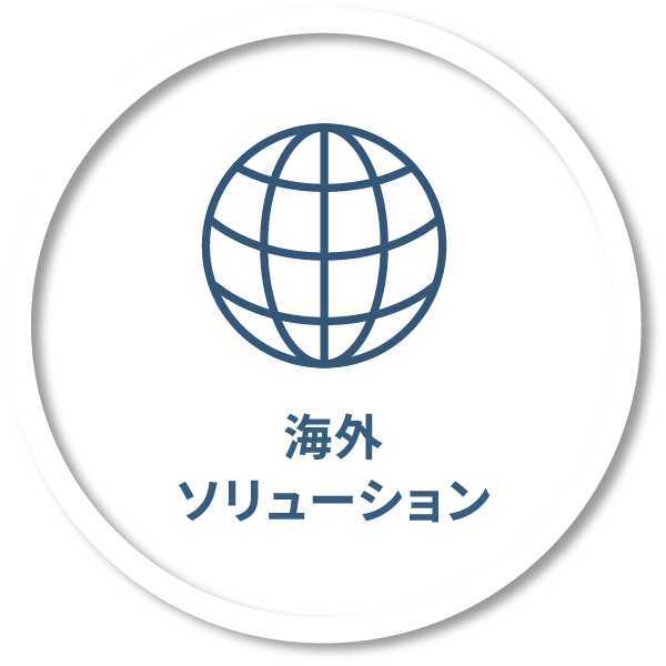海外ソリューション